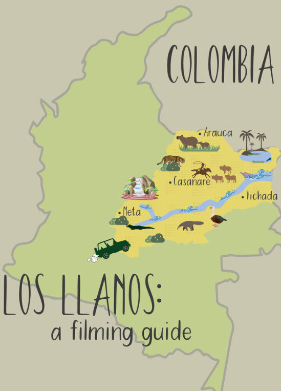 Los Llanos