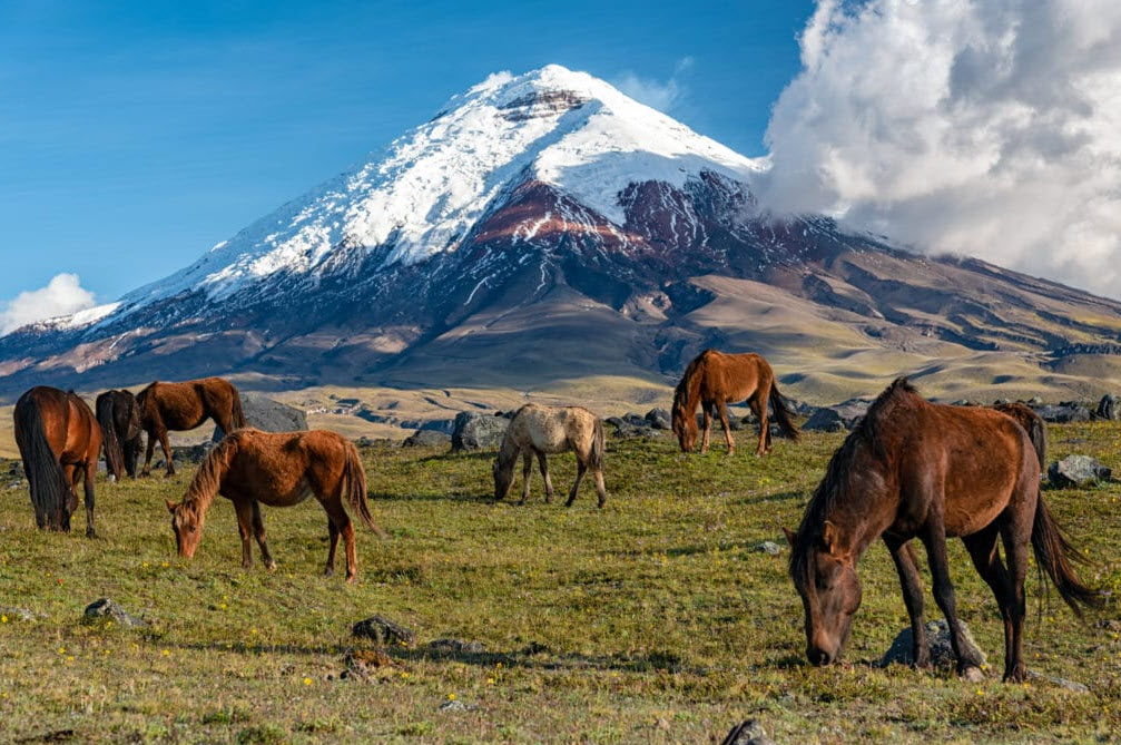 Cotopaxi